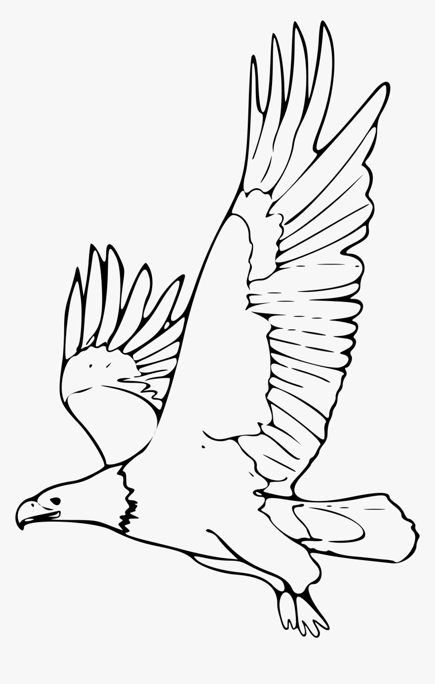 Clipart Coloring Book Bald Eagle 2 Remix Clipart - Animales En Peligro De Extincion Dibujos, HD Png Download