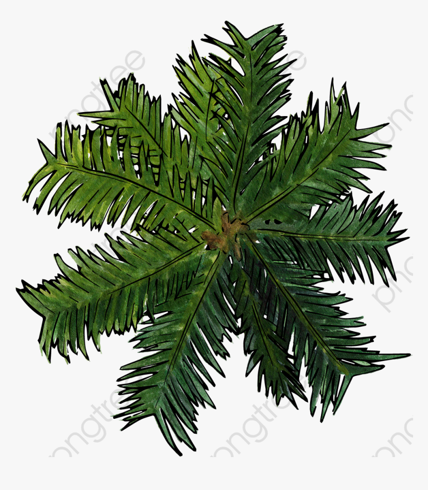 View Clipart Transparent - Trees Top View Png For Photoshop, Png Download