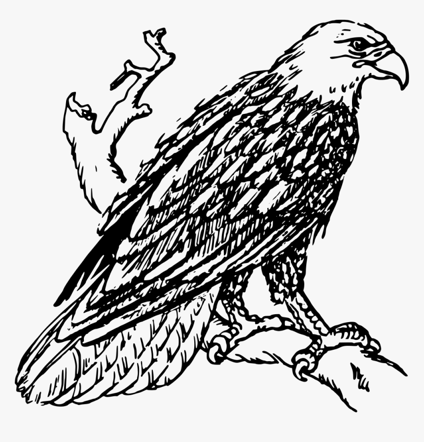 Golden Clipart Black And White - Bald Eagle Clip Art Black And White, HD Png Download