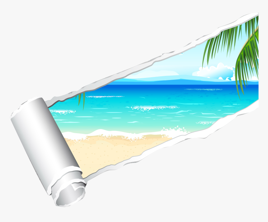 Transparent Ocean Png - Attalea Speciosa, Png Download