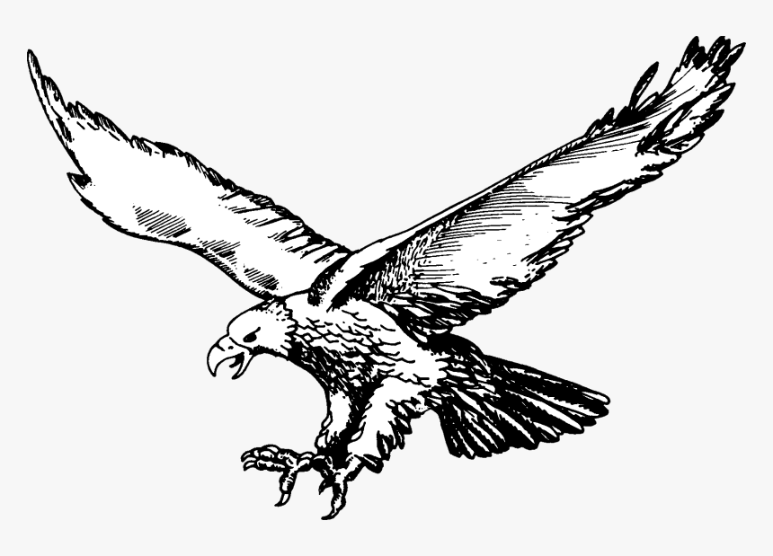 Soaring Eagle Png - Olivet Eagles Logo, Transparent Png