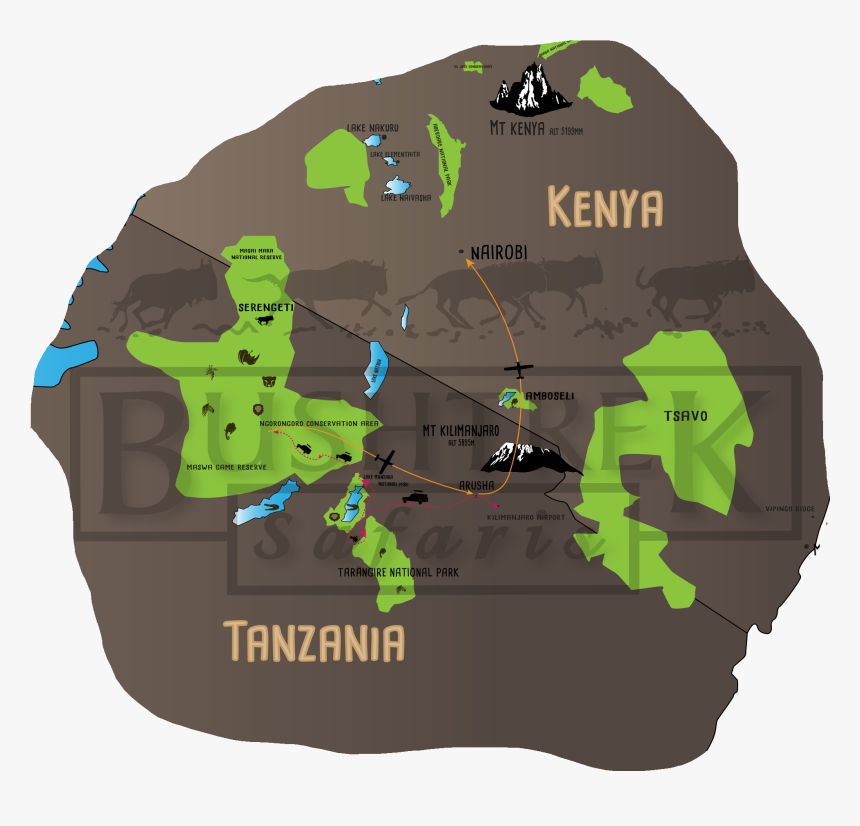 Transparent Tree Png Plan View - Atlas, Png Download