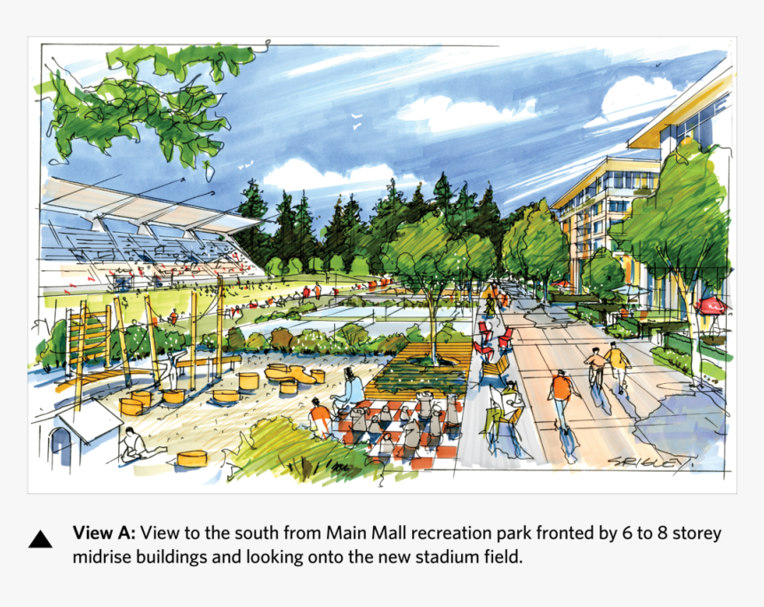 Transparent Trees Plan Png - Tree, Png Download