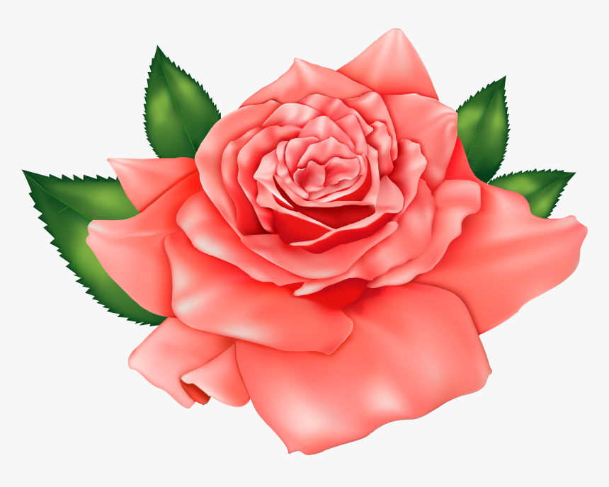 Orange Rose Png Clipart Image - Rose Clipart Flowers, Transparent Png