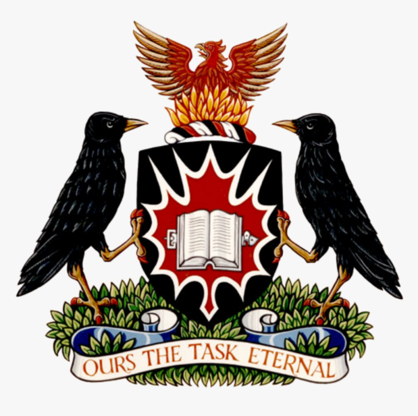 Transparent Medieval Shield Png - Carleton University Coat Of Arms, Png Download