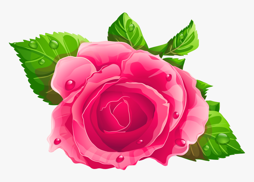 Single Rose Flowers Png - Rosa Cor De Rosa Png, Transparent Png