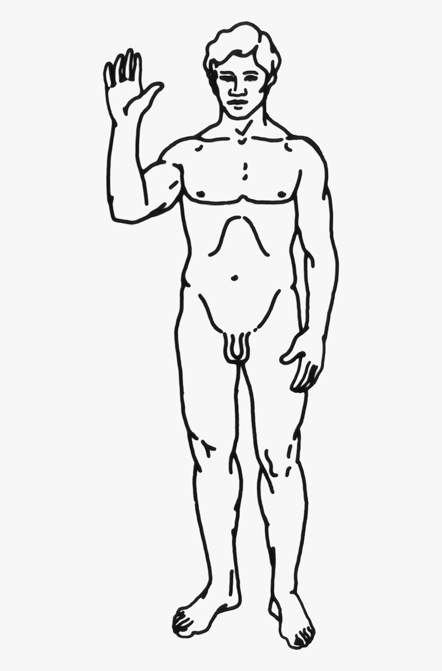 File - Human-man - Sample Drawing For Neuro Exam, HD Png Download