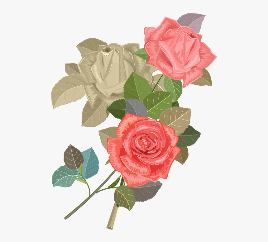 Wedding Invitation Beach Rose Flower Euclidean Vector - Invitation Cards Rose Flower, HD Png Download