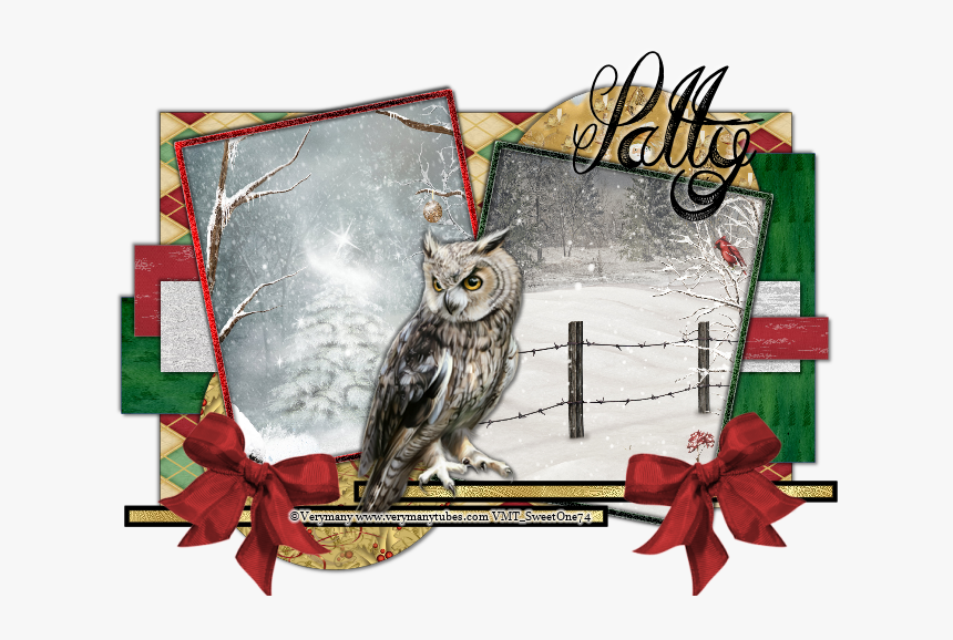 Buono, HD Png Download