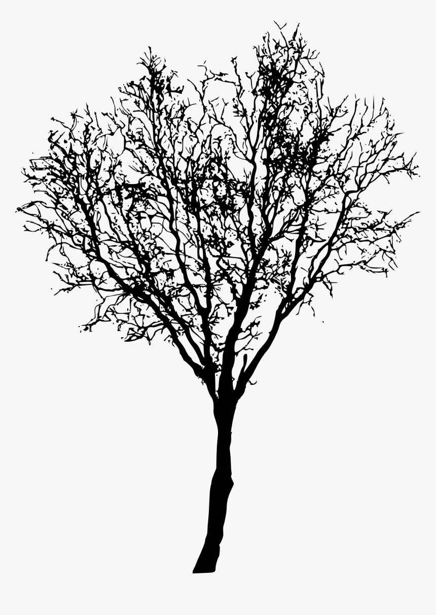 Tree Silhouette 2 - Portable Network Graphics, HD Png Download