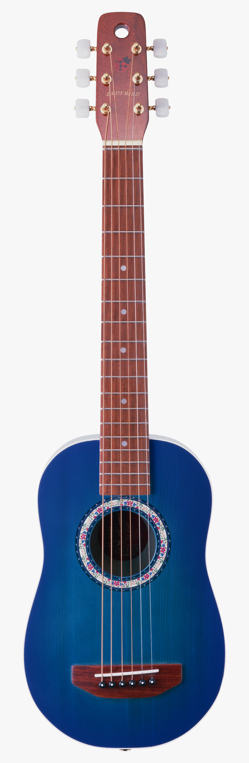 Guitar, HD Png Download