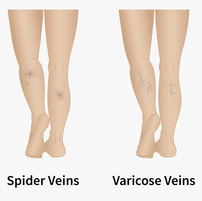 Transparent Veins Texture Png - Tights, Png Download