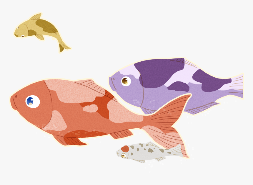 Squid Cartoon Fish Minimalistic Png And Psd - Pomacentridae, Transparent Png