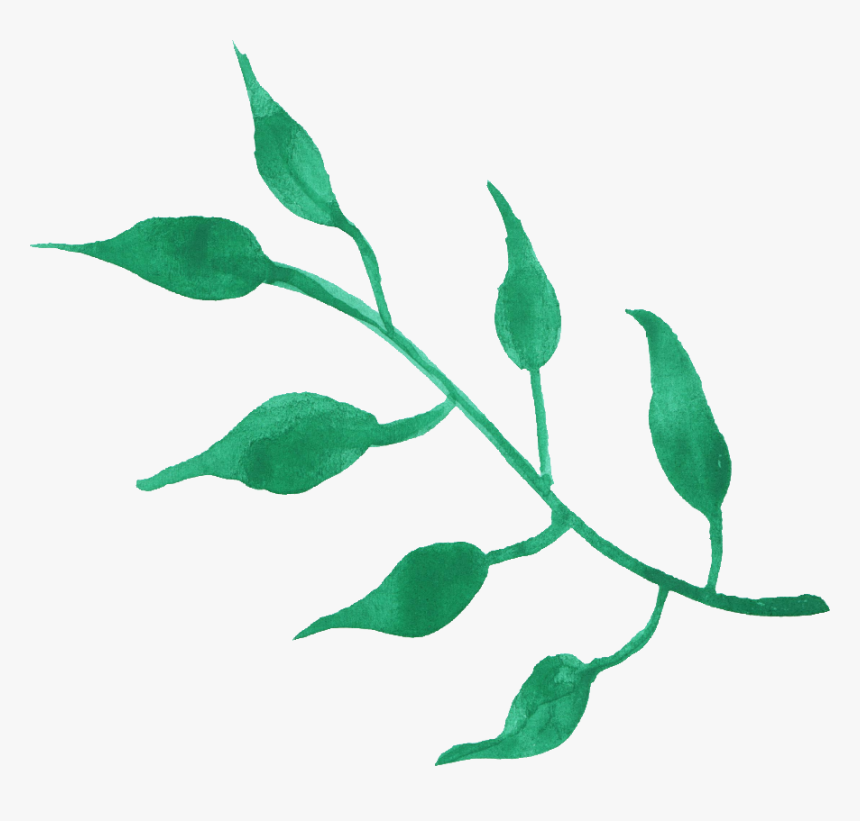Png Transparent Leaf Watercolor Png, Png Download