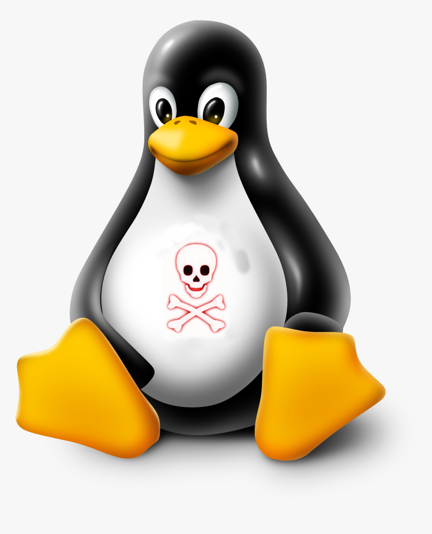 Dangerous Things We Should Not Do In Linux - Logo Linux, HD Png Download
