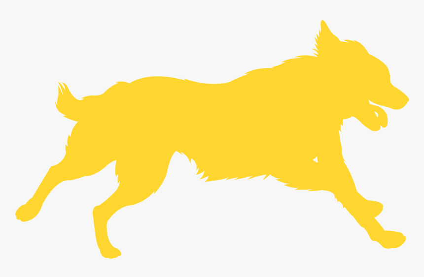 Dog Catches Something, HD Png Download