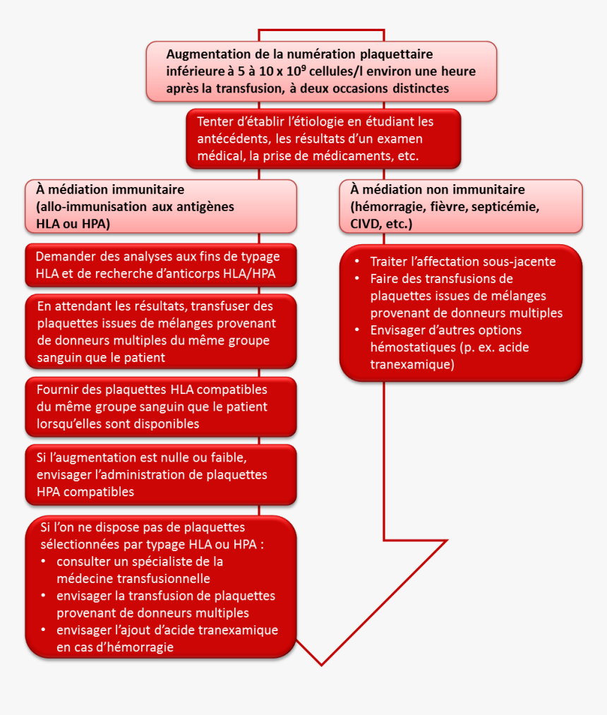 Transfusion Plaquettes, HD Png Download