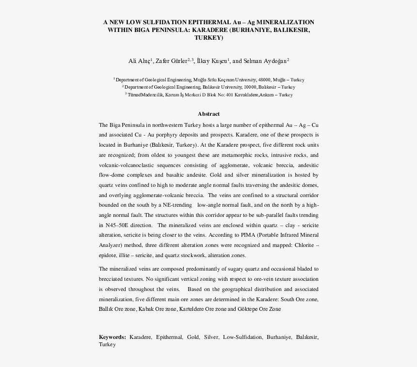 Transparent Veins Texture Png - Protection Of Basic Human Rights Of Minorities In The, Png Download