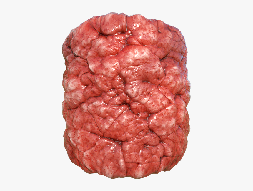 Bloody Organ, Intestine Or Flesh Texture, Seamless - Brain (as Food), HD Png Download