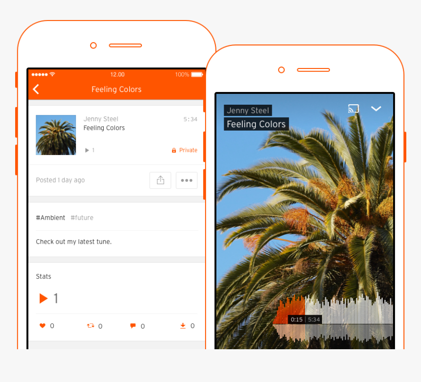 Attalea Speciosa, HD Png Download