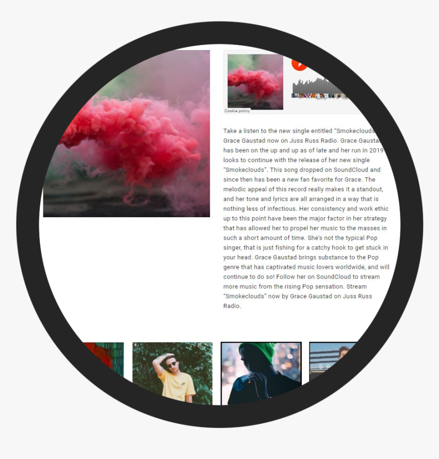 Musicblog - Tree, HD Png Download