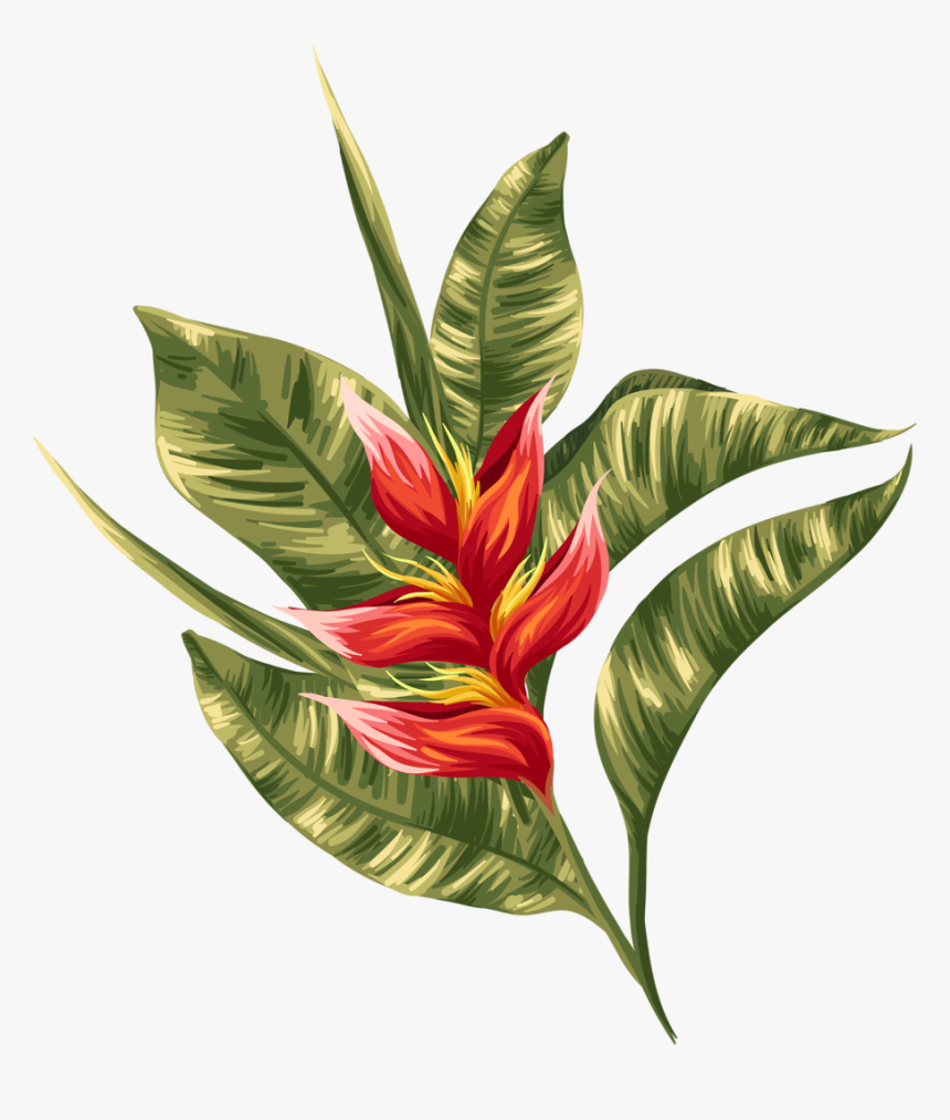 Transparent Greenery Clipart - Tropical Flowers, HD Png Download