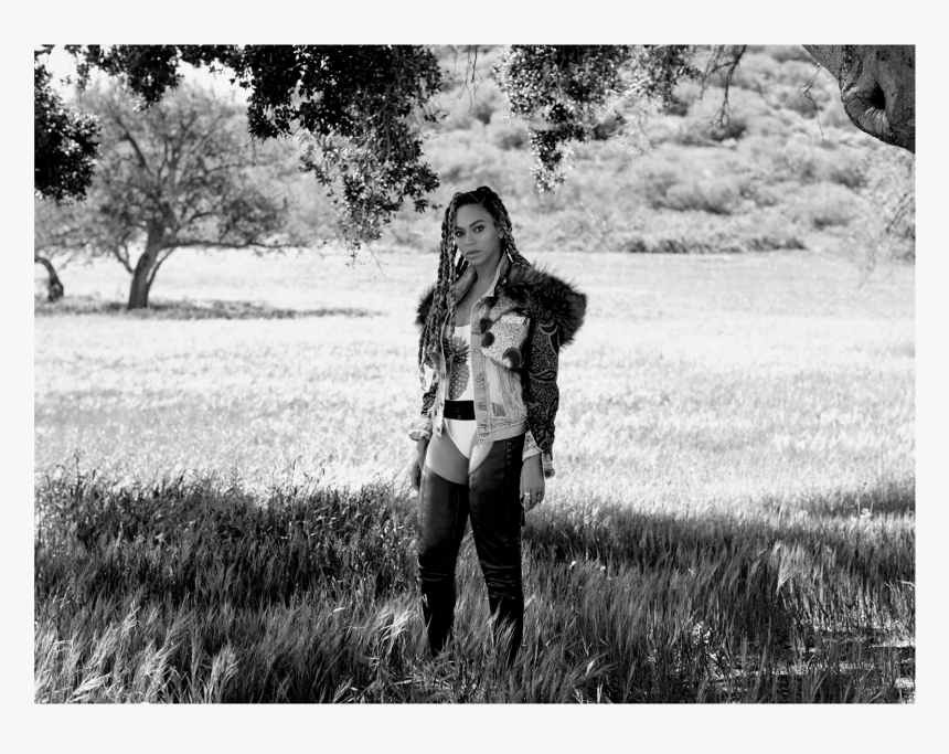 Snapshot, HD Png Download