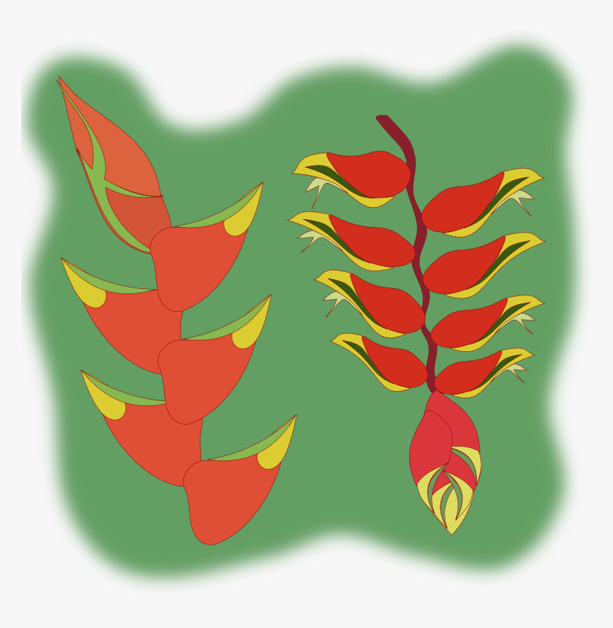 Heliconia Svg, HD Png Download
