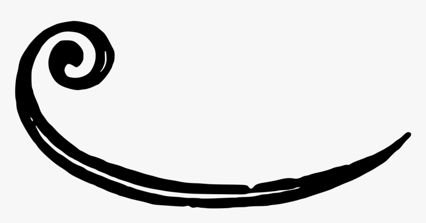 Swirl, Swoosh, Design, Decoration, Elegant, Vintage - Black Swoosh Clipart Transparent, HD Png Download
