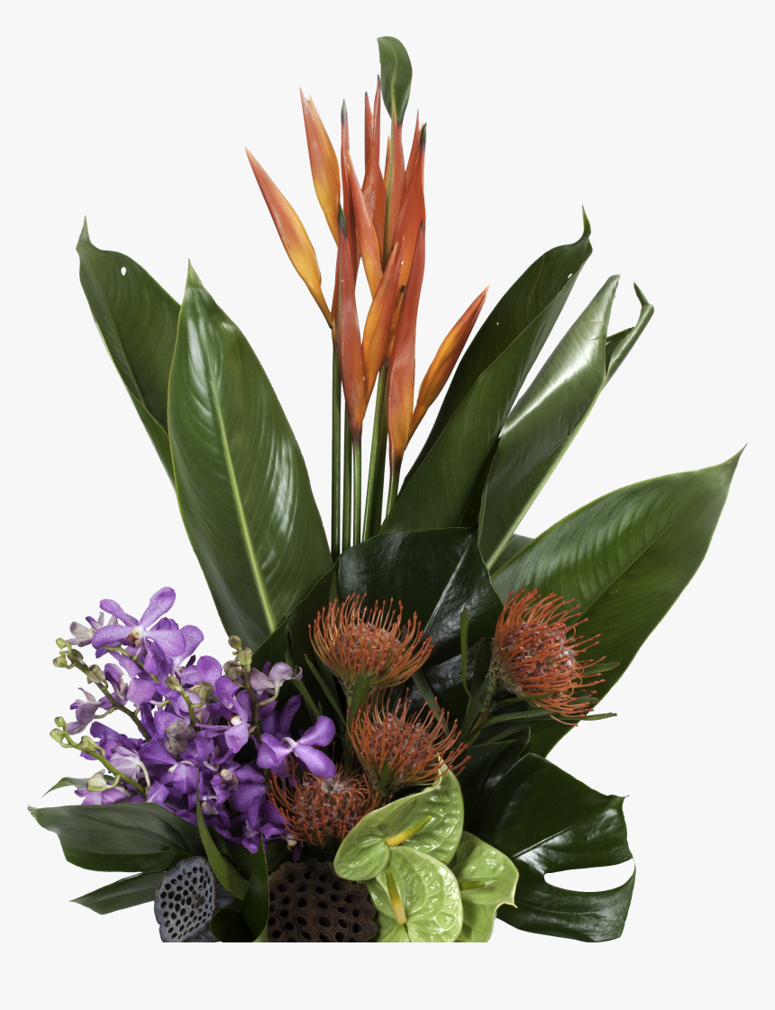 Transparent Flower Texture Png - Heliconia, Png Download