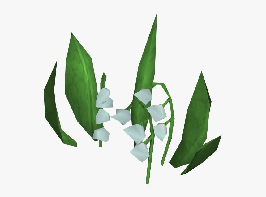 Download Lily Of The Valley Transparent Png - Lily Of The Valley, Png Download