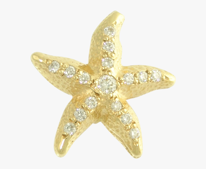 Sea Star Png High-quality Image - Gold Starfish Png, Transparent Png