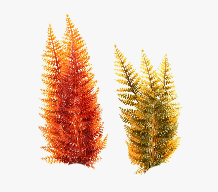 Underwater Plants, Sea Plants, Free Graphics, Photoshop, - Under Water Plants Png, Transparent Png