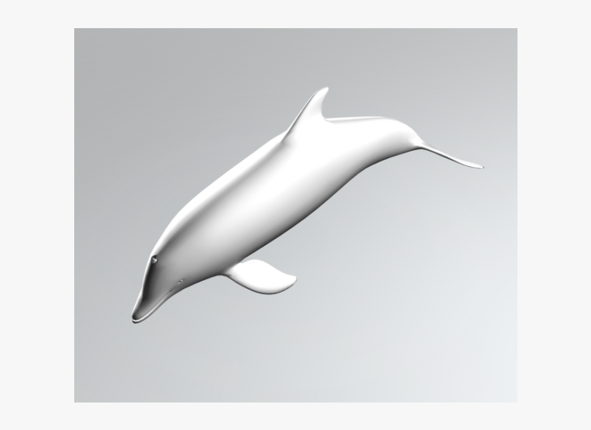 Dolphin 3ds Max Model - Common Bottlenose Dolphin, HD Png Download