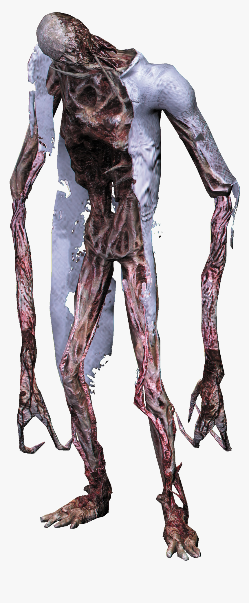 Divider .png, Transparent Png