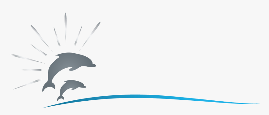 Common Bottlenose Dolphin, HD Png Download