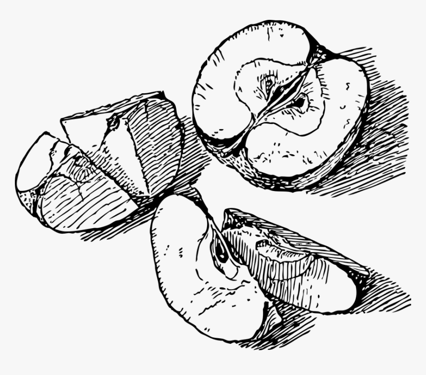 Transparent Apple Slice Png - Sliced Apples Drawing, Png Download