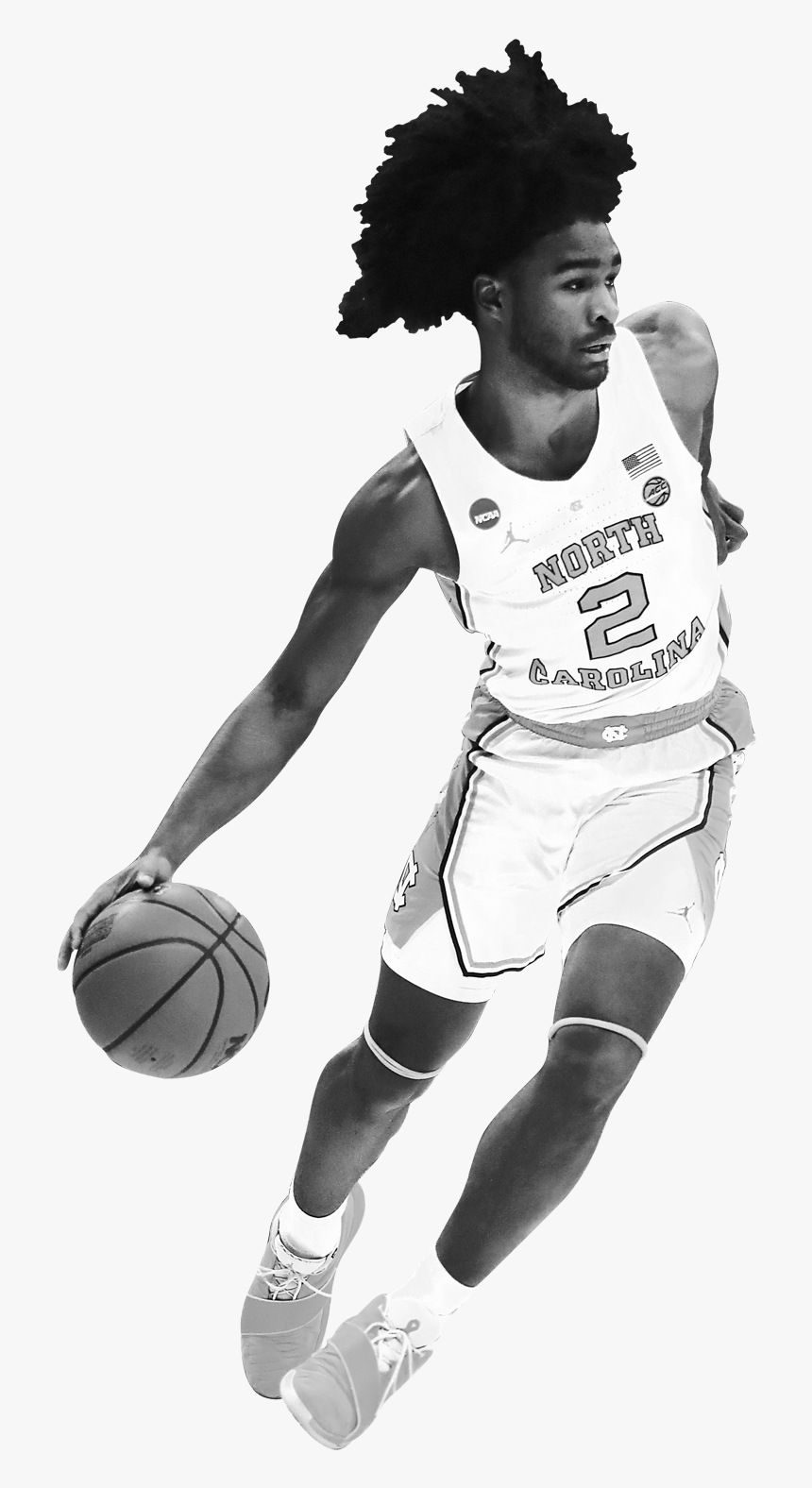 Afro, HD Png Download