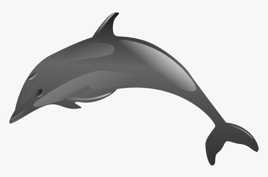 Clip Art Dolphins Jumping Clipart - Animales Acuaticos En Png, Transparent Png