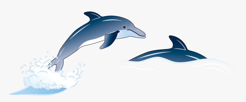 Porpoise Drawing Blue Dolphin Transparent Png Clipart - Dolphin, Png Download