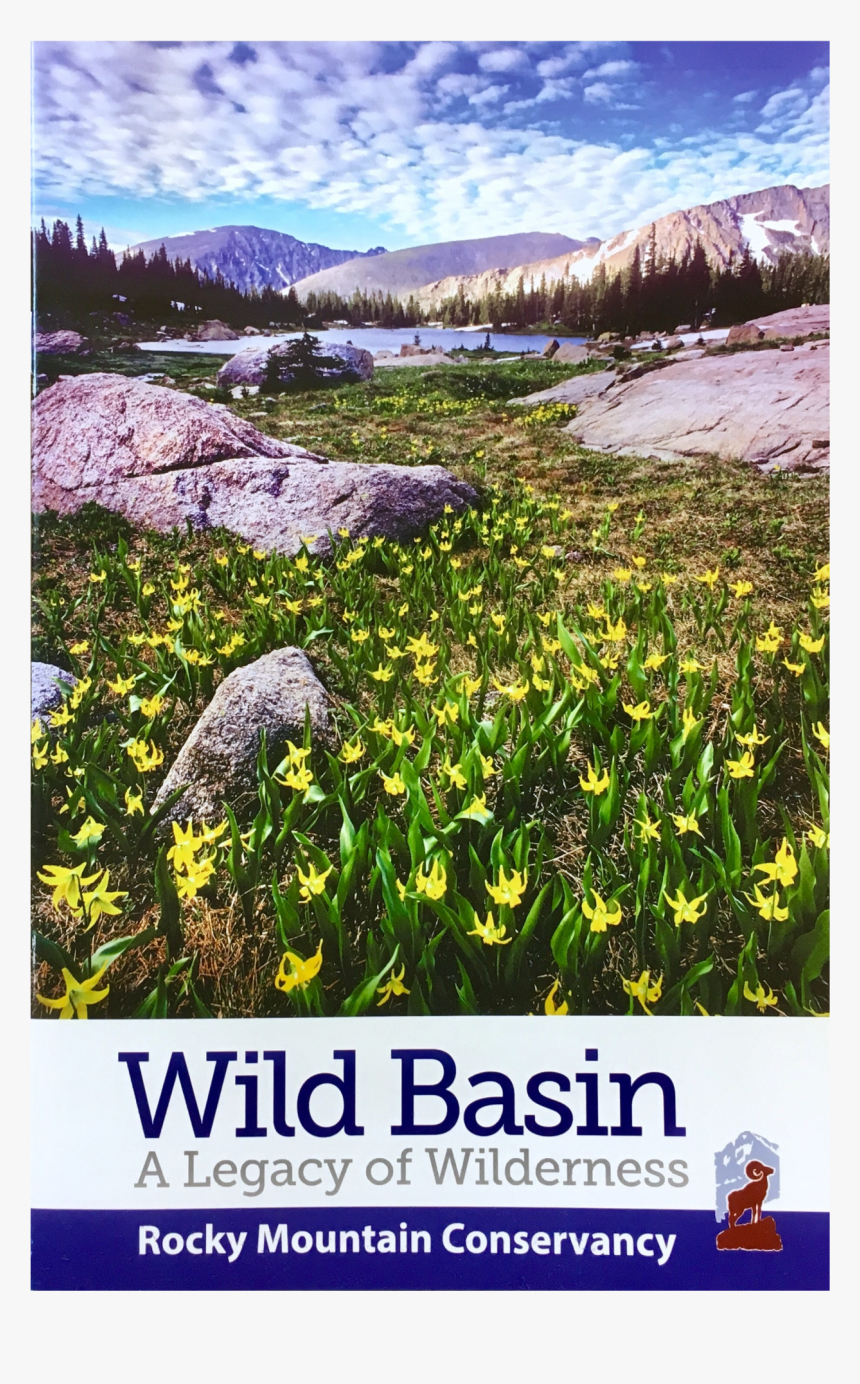 Poster, HD Png Download