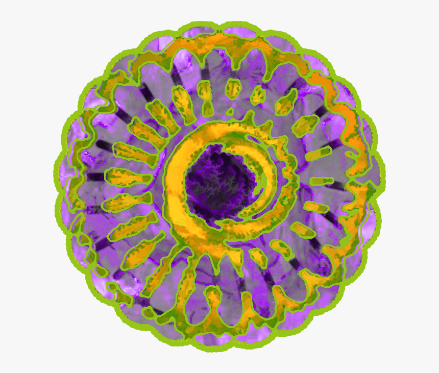 Circle, HD Png Download