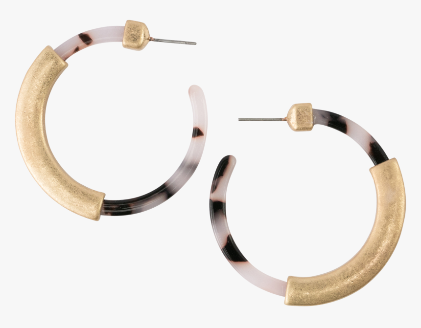*light Tortoise Hoop With Gold Earrings - Earrings, HD Png Download