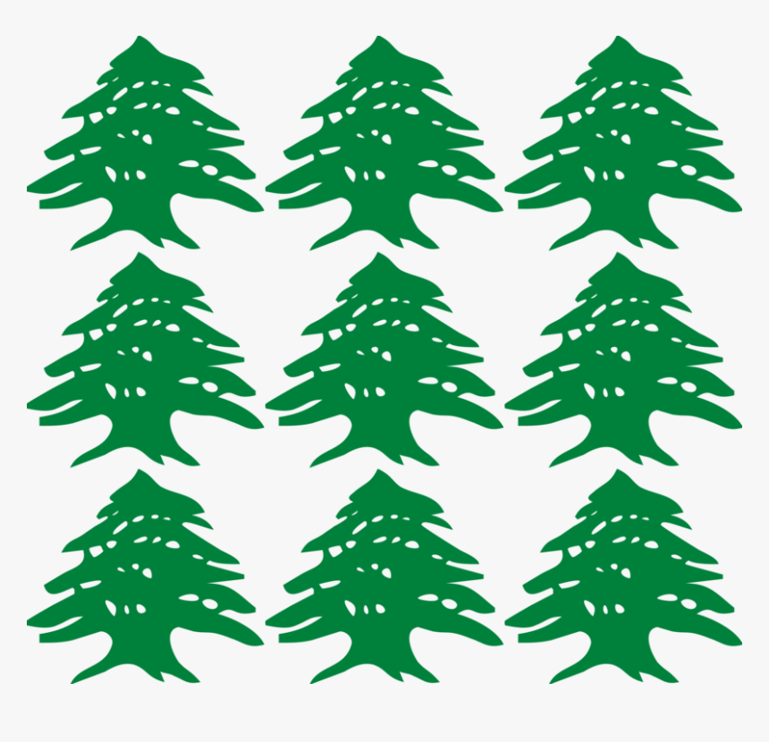 Lebanese Tree