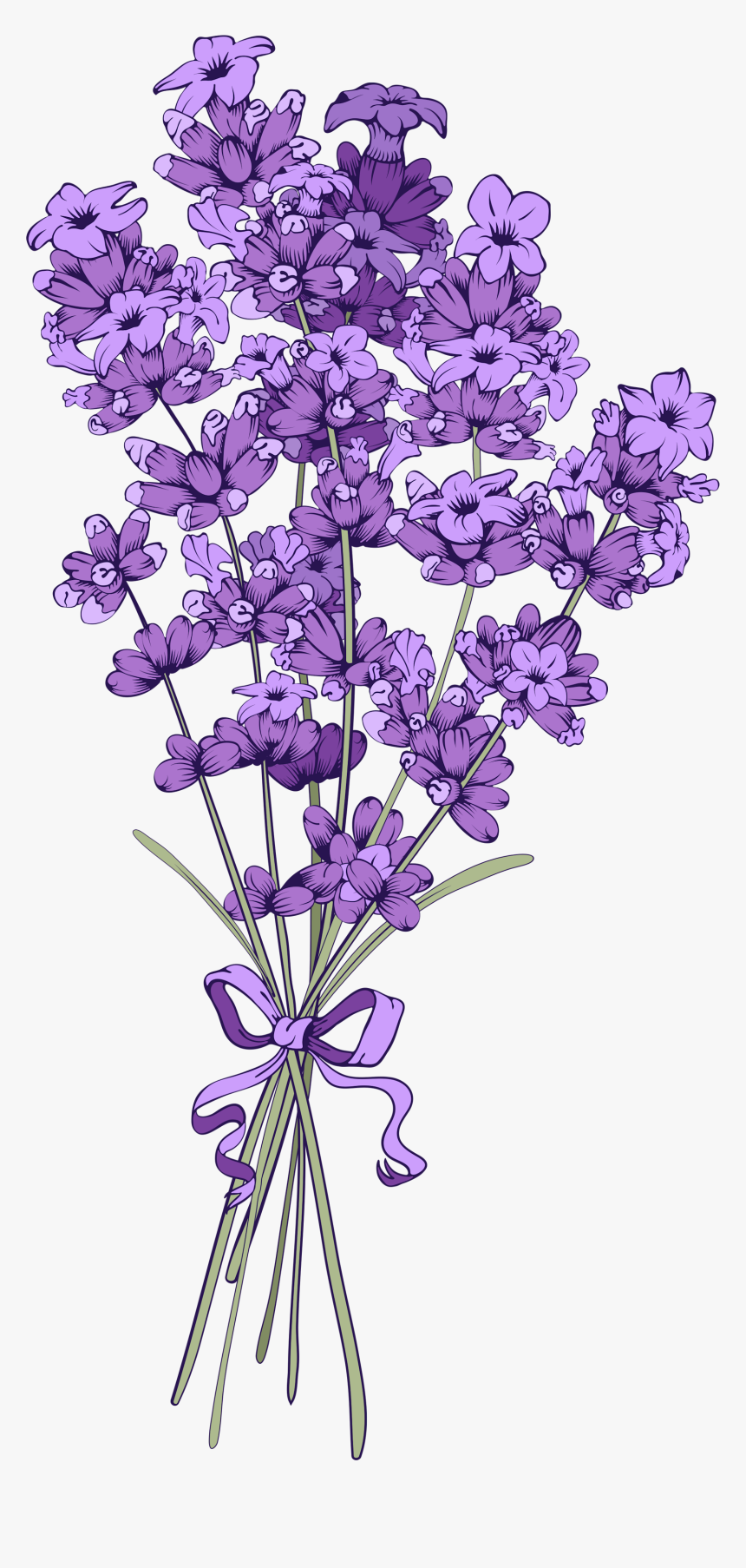Transparent Vintage Clipart - Transparent Background Lavender Png, Png Download