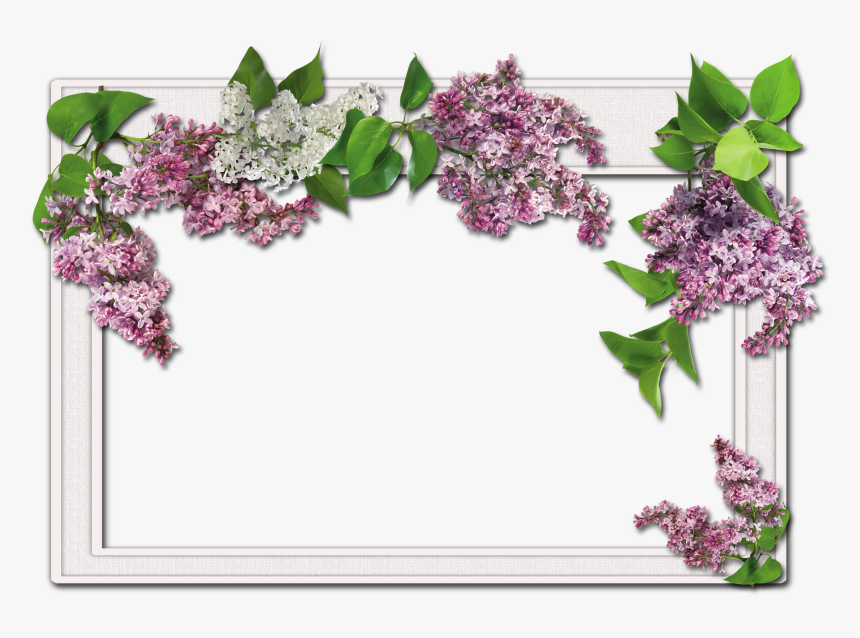 Flowers Frame - Wedding Frames For Photoshop, HD Png Download