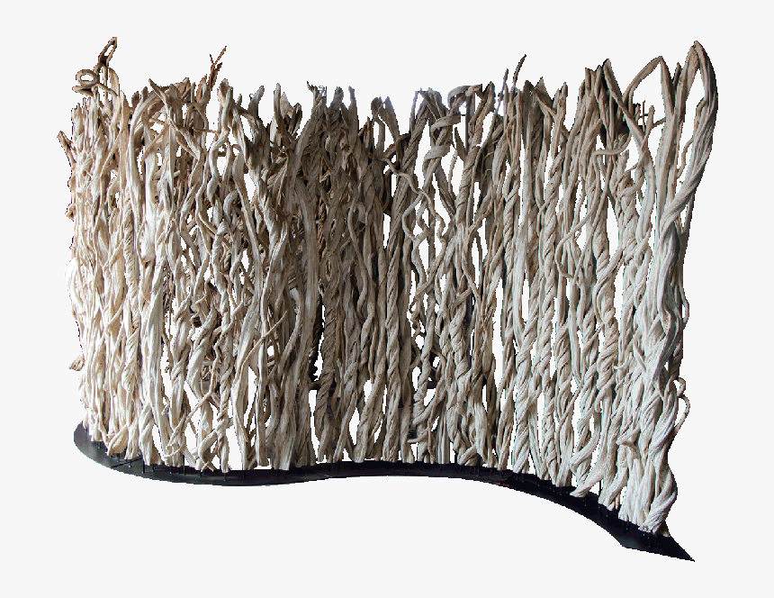 Room Divider Made With Tropical Vines Pictured In A - Wood, HD Png Download