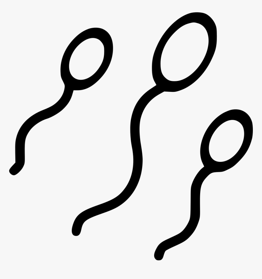 Sperm Baby Making Pregnancy Sexual Adult Reproduction - Sperm Transparent, HD Png Download