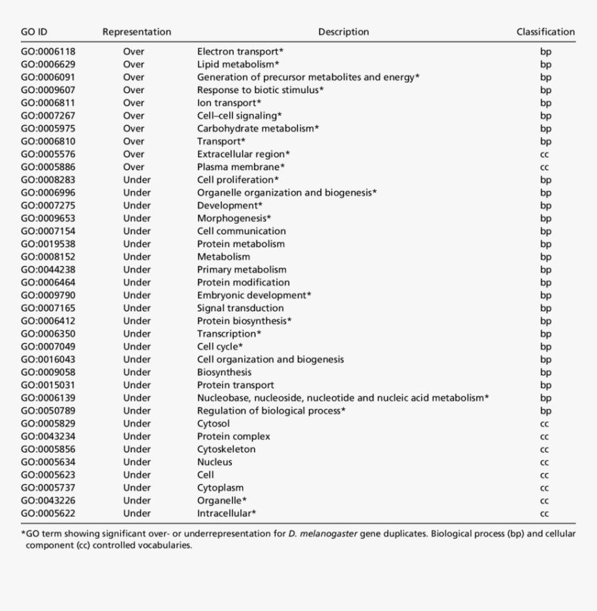 Screenshot, HD Png Download