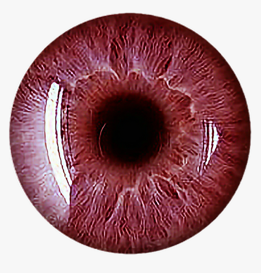 #eye #red #scary #vampire #redeyes #eyecolor #eyeball - Scary Eye Png, Transparent Png